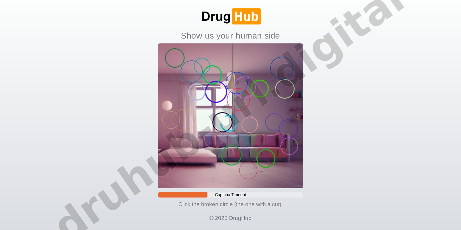 DDoS Protection